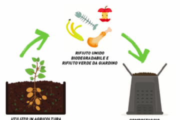 Corsi autocompostaggio CISA